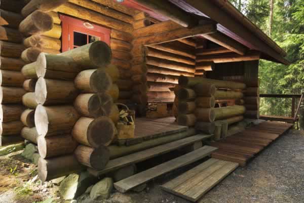 forest sauna