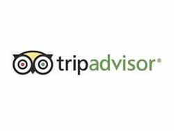 tripadvisor